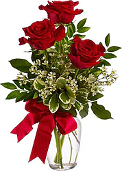 Rosas rojas premium de tallo largo. Un detalle para la persona más especial